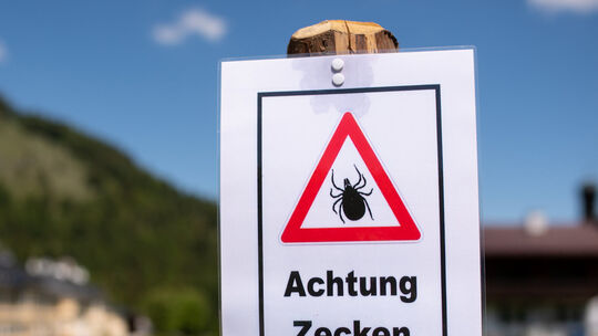 Risiko Zeckenstich: Für wen die FSME-Impfung empfohlen wird
