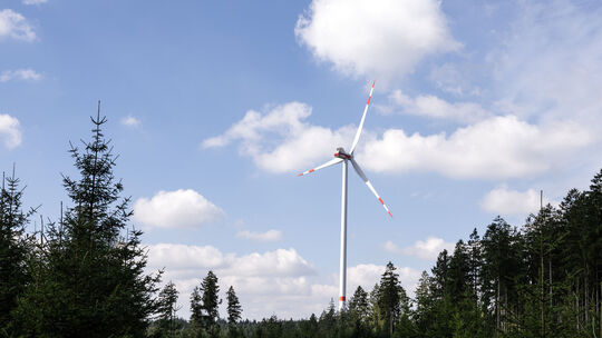 Windrad im Wald