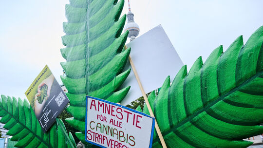 Menschen, die wegen Cannabisdelikten zu einer Strafe verurteilt worden sind, könnten durch die Teil-Legalisierung von Cannabis v Vor der Cannabis-Legalisierung