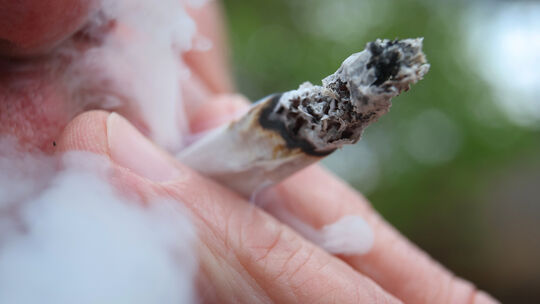 Vor der Cannabis-Legalisierung