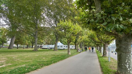 Planungen für die BUGA 2029 in Rüdesheim am Rhein