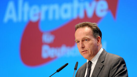 AfD Bundesparteitag