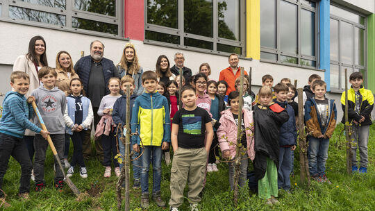 Weinköniginnen pflanzen Weinreben
