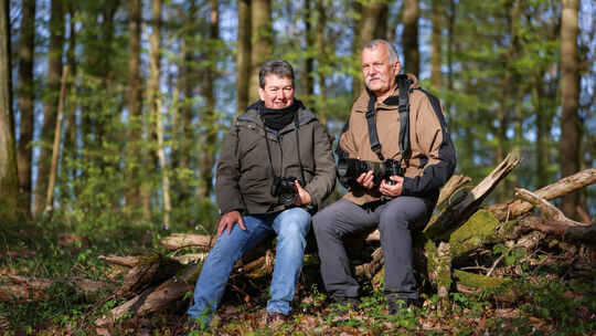 bb_wald_01