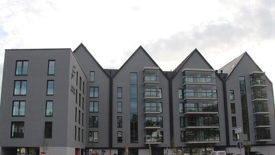 The Flagg Linz