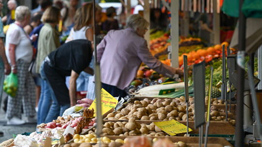 Kartoffeln auf Wochenmarkt in Frankfurt am Main