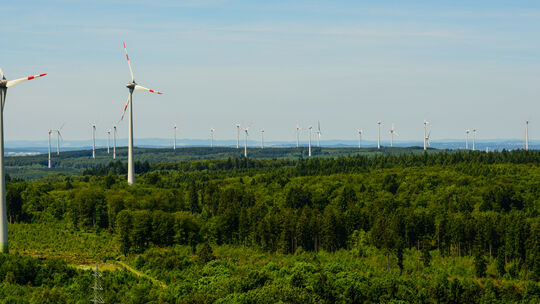 harry_neumann_blick_hartenfelser_kopf_dsc7977_lr