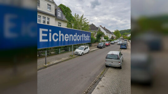 Baeume sollen gepflanzt werden