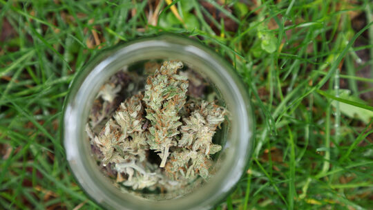 Vor der Cannabis-Legalisierung