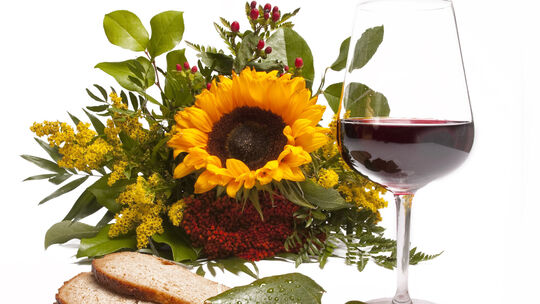 fotolia49341522subscriptionxl.jpg