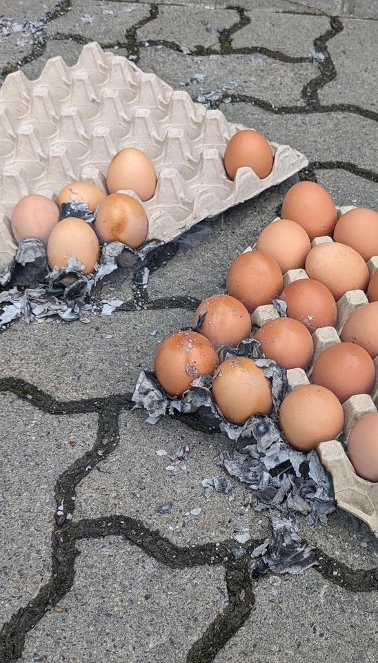 Eierkarton im Selbstbedingungsladen von Wällerhof Augst angezündet: Kunden verhindern ein Unglück in Helmenzen