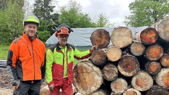 Holzlager in Neuhäusel aufgelöst