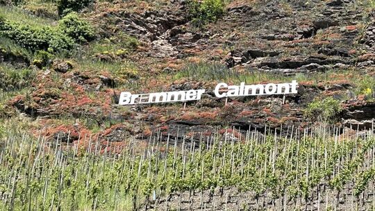 Schriftzug Bremmer Calmont