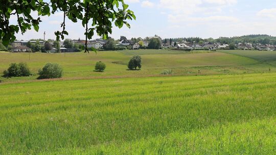 ellingen-solarpark-6