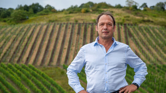 Winzer im Klimawandel