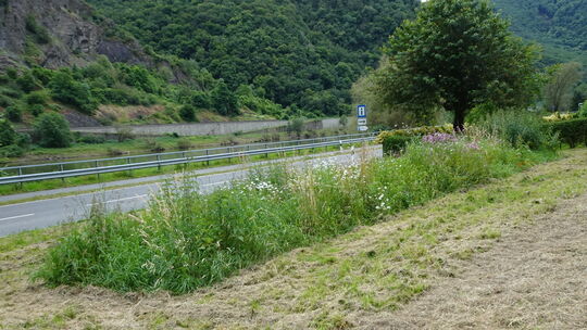 dsc00703