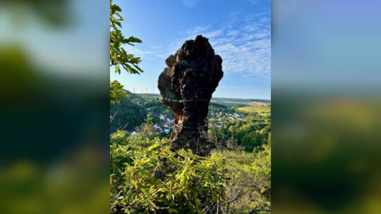 paradies-altenbamberg-frauenkopf14