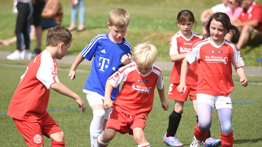 Wissberg-Turnier TSV Hargesheim