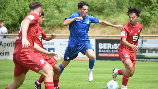 U19 Hoffenheim - Köln