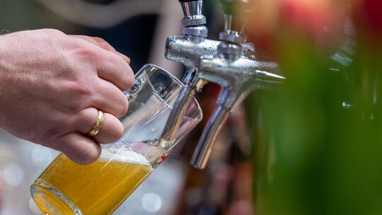 Bier