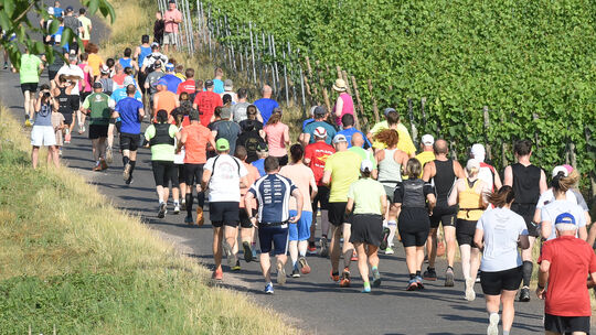 Wingertslauf Monzingen