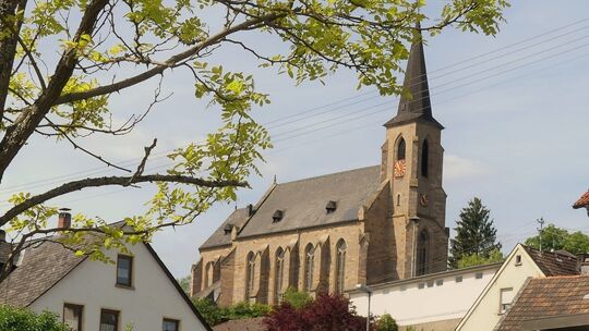 bild-2