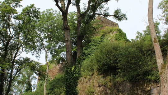 Burgruine Neuerburg