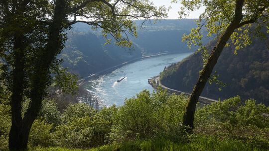 Schönheitskur für die Loreley