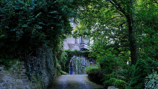 Rheineck4