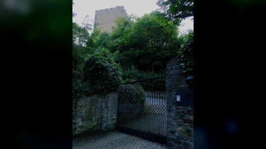 Rheineck3