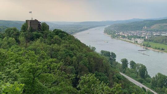 Rheineck1