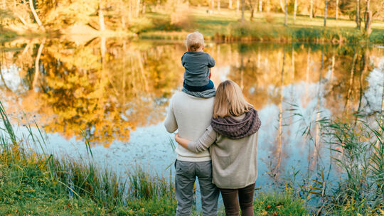adobestock_284743640