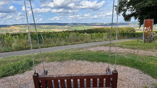 kirn-rotary-wanderung-weinsicht-meddersheim