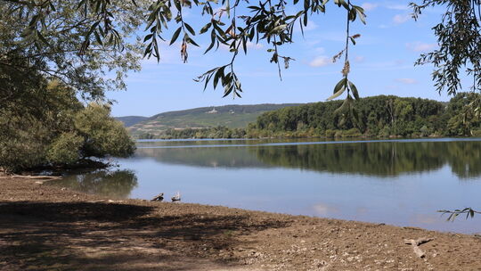 Stillwasserzone Fulder Aue - Ilmen Aue