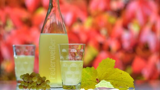 Herbstgenuss Federweißer