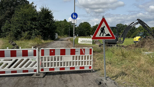 schotterweg-rring-distelfeld1_ulf-steffenfauseweh