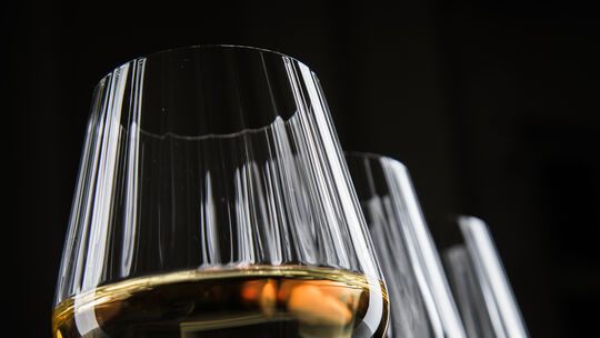 Ratlos vorm Weinregal: Wie wählt man den richtigen Tropfen?