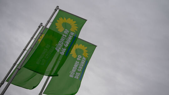 Grüne Baden-Württemberg