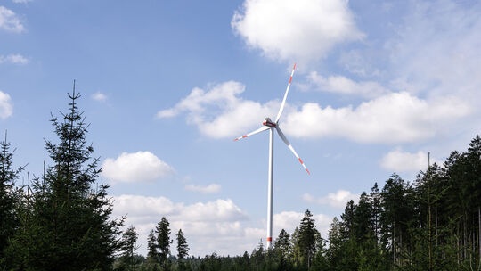 Windrad im Wald