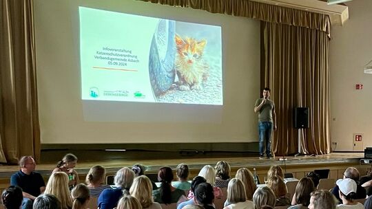 Tierschutz Siebengebirge informiert über Katzenschutzverordnung