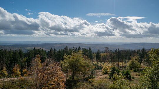 Nationalpark Hunsrück-Hochwald