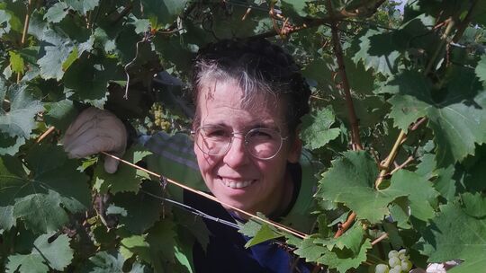Weingut Ernst Steffens Merl