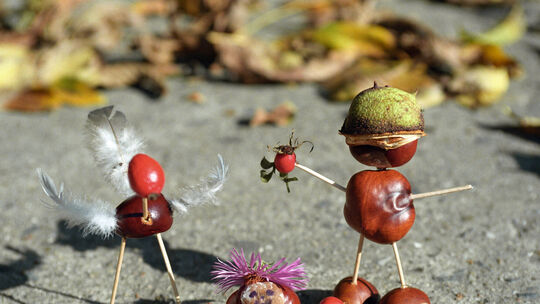 Was ist eigentlich so toll am Herbst?