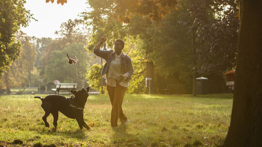 Mit Hund im Park