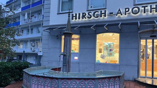 Brunnen vor der Hirsch-Apotheke Birkenfeld