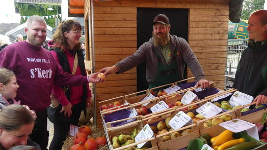 erntemarkt-in-waldlaubersheim-1