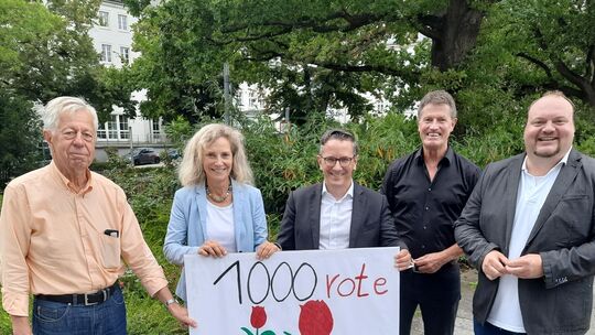 202409-rote-tulpen
