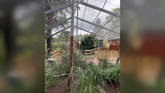 Neue Australienvoliere fast fertig im Zoo Neuwied