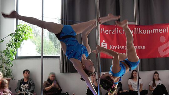 pole-dance-3