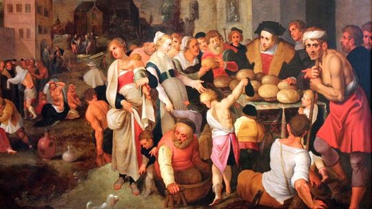 nz-reformation-1